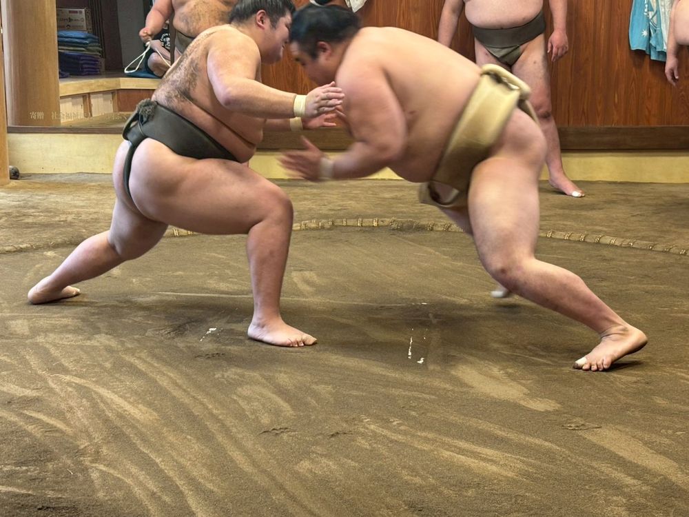 Wrestlers facing off in the ring